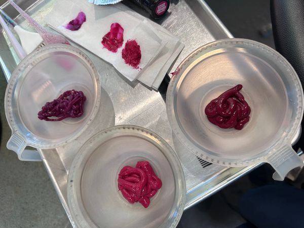 Three hairdressing bowls filled with various shades of pink hair dye on a metal stand. There's other various hair dye tools & a paper towel with two pink & one purple colour swatched out.