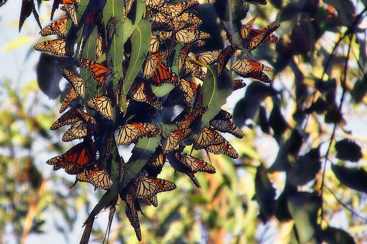 'The more people give, the faster we can start the presses'