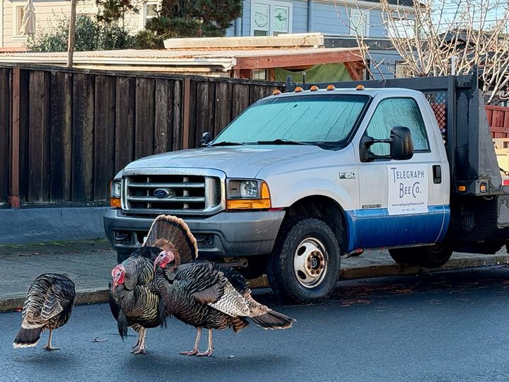 Your gift, matched up to $5,000, will help bring news to Albany