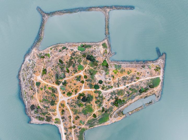 DOUBLE your impact for Albany news — up to $11,000