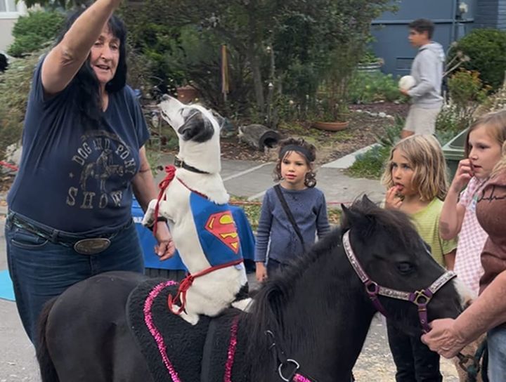 From Golden Gate Fields trainer to the Dog & Pony Show