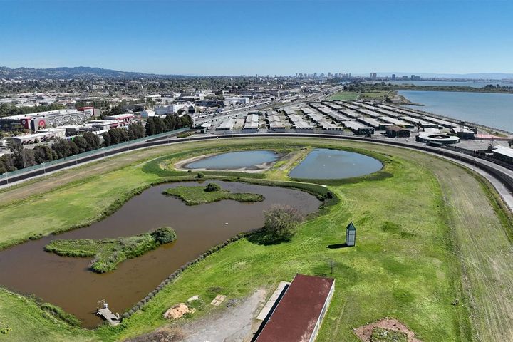 Golden Gate Fields park plan advances toward $125M vote