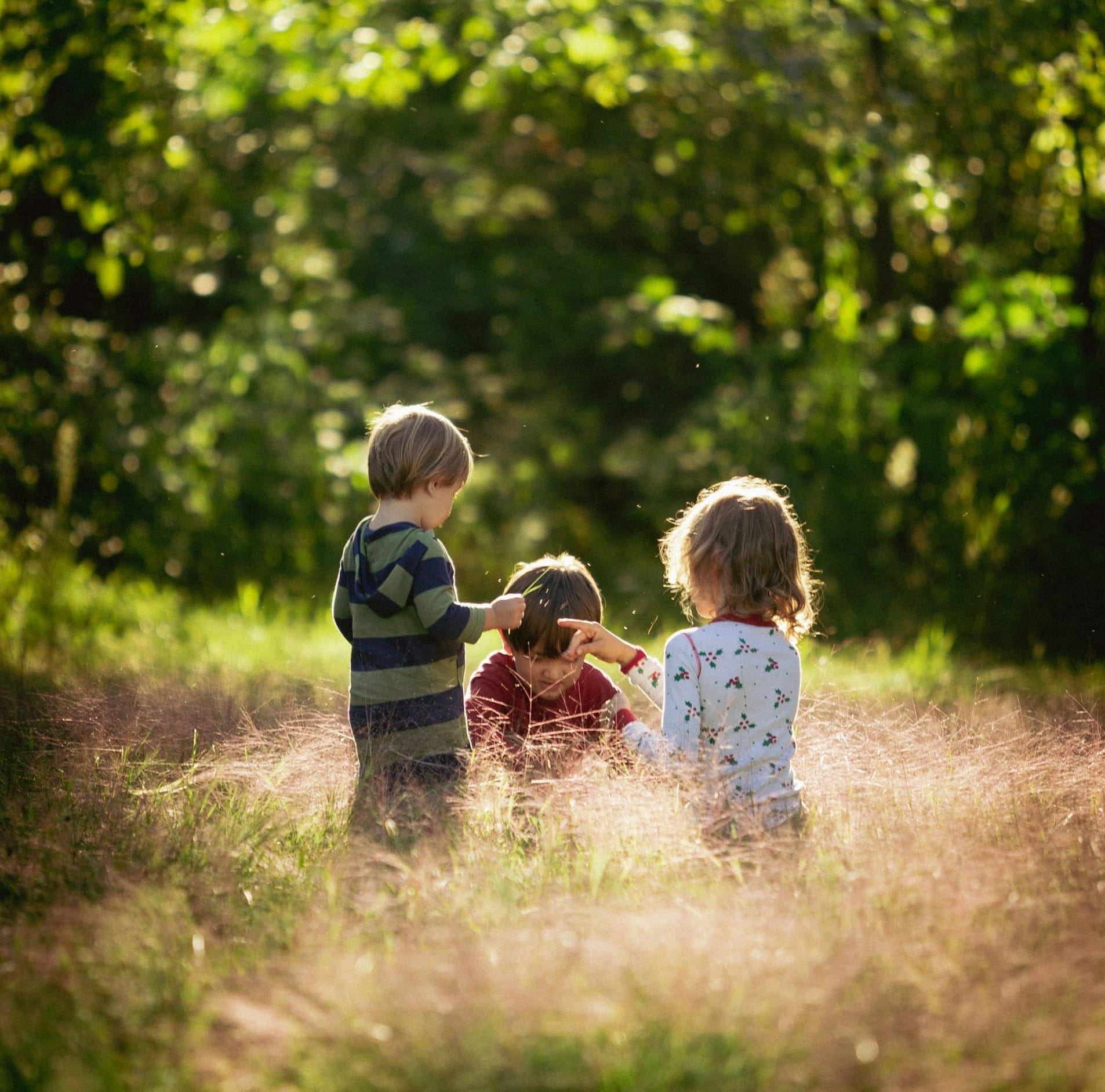 three children are sitting in a field of tall grass