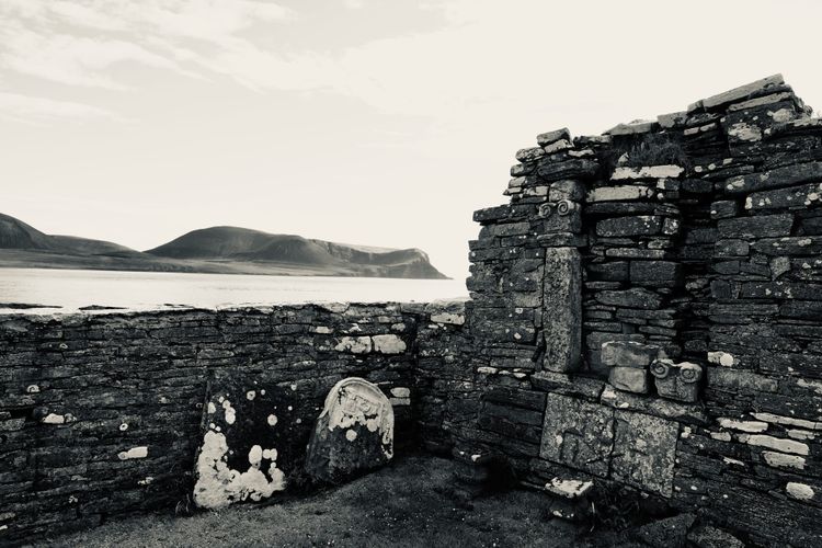 The Warebeth Oystercatcher and the Medici Giraffe