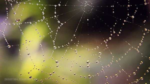 Face Detection with Tracking.JS