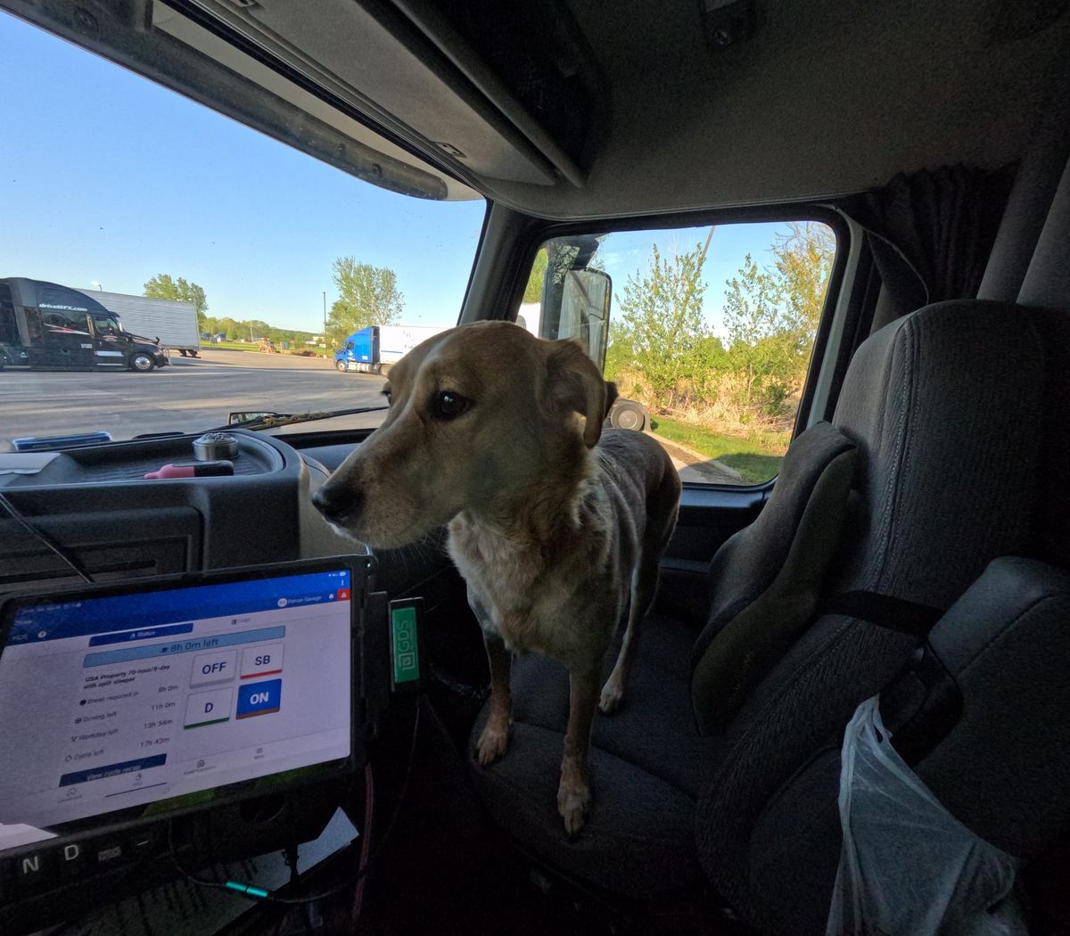 Riding Shotgun — No. 04 What Happens When a Heeler Has a Bad Day on the Road