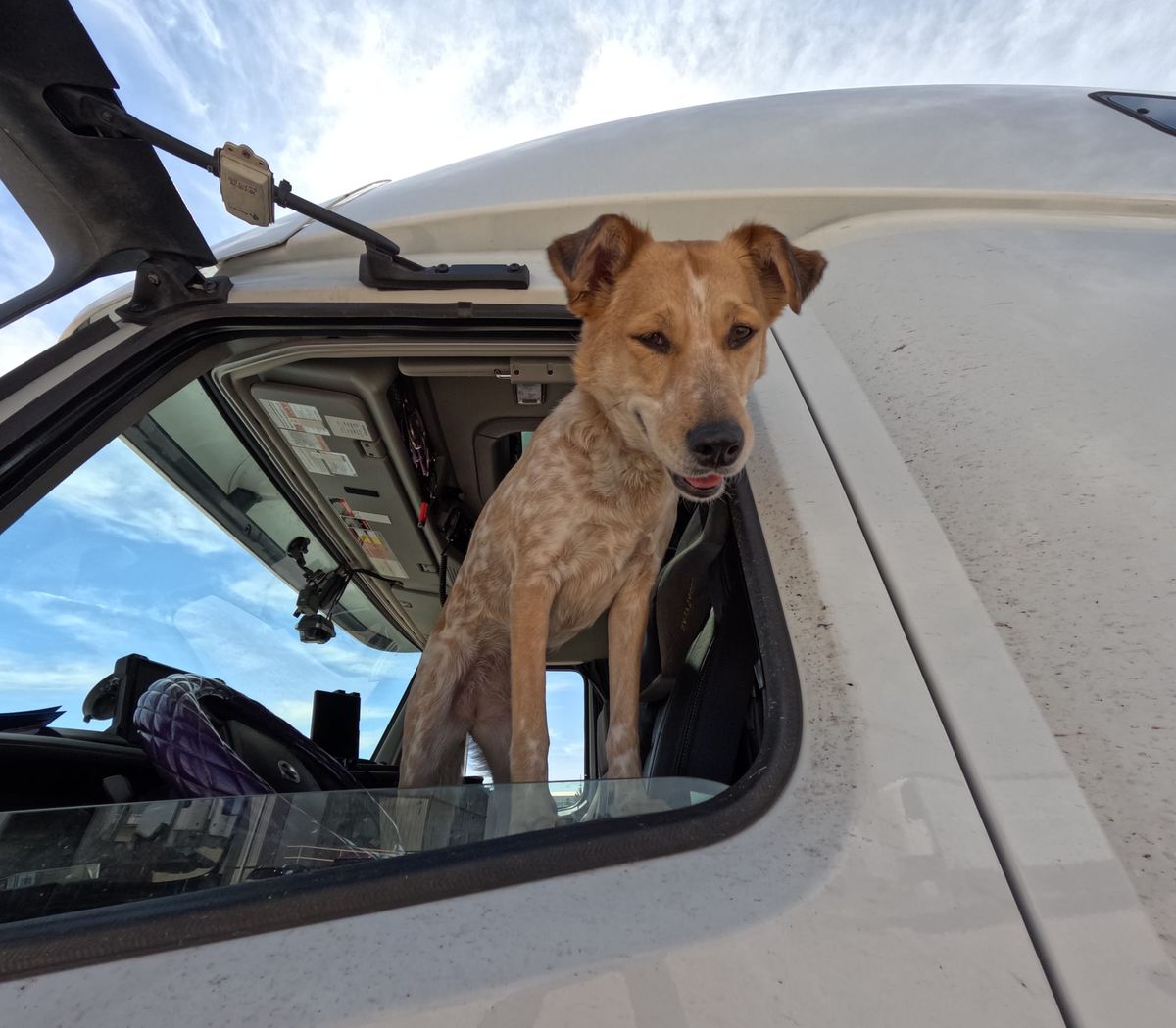 Riding Shotgun — No. 05 Why Honey Is the Chief Morale Officer and I'm Just the Driver