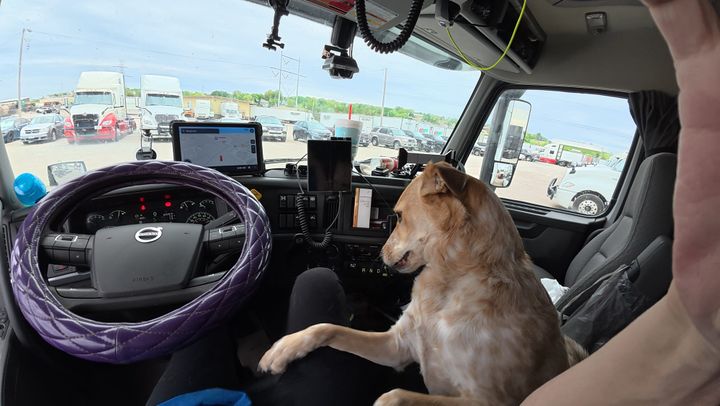 Riding Shotgun — No. 03 A Day in the Cab: Honey's Version