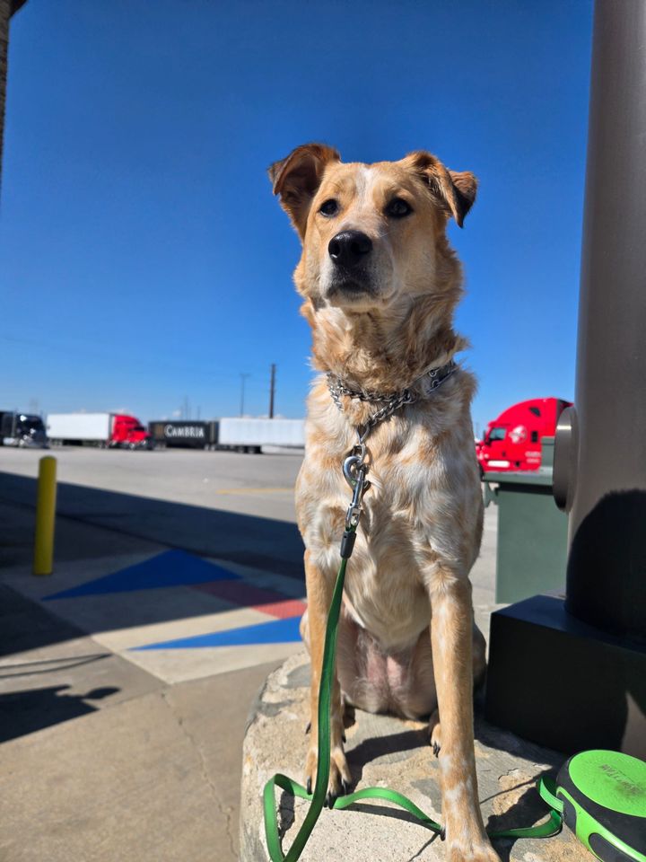 Copilot Is Off the Clock