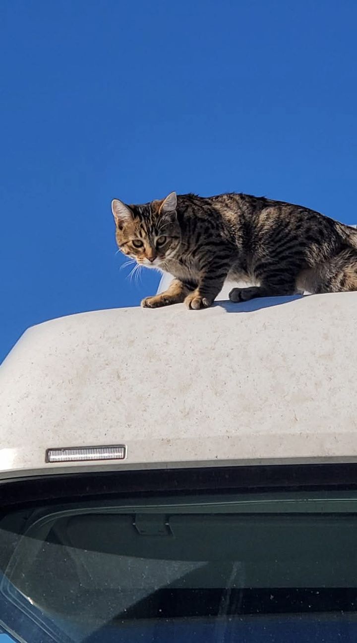 Riding Shotgun: When the Storm Hits