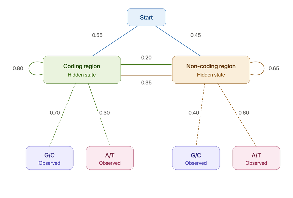 Inside Hidden Markov Models: The Theory Behind Sequential Inference