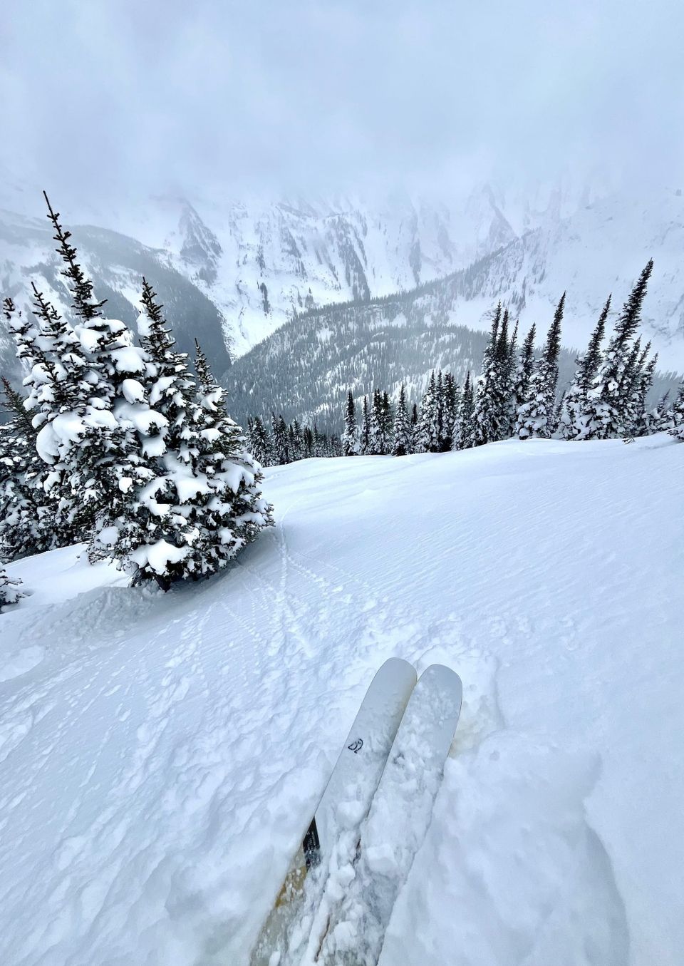 The Best Powder Skiing of the Season