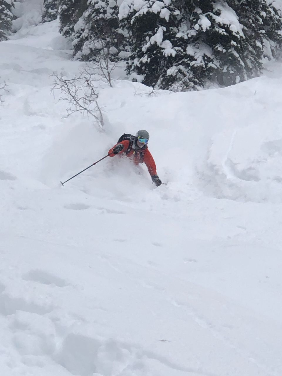 1 meter and counting