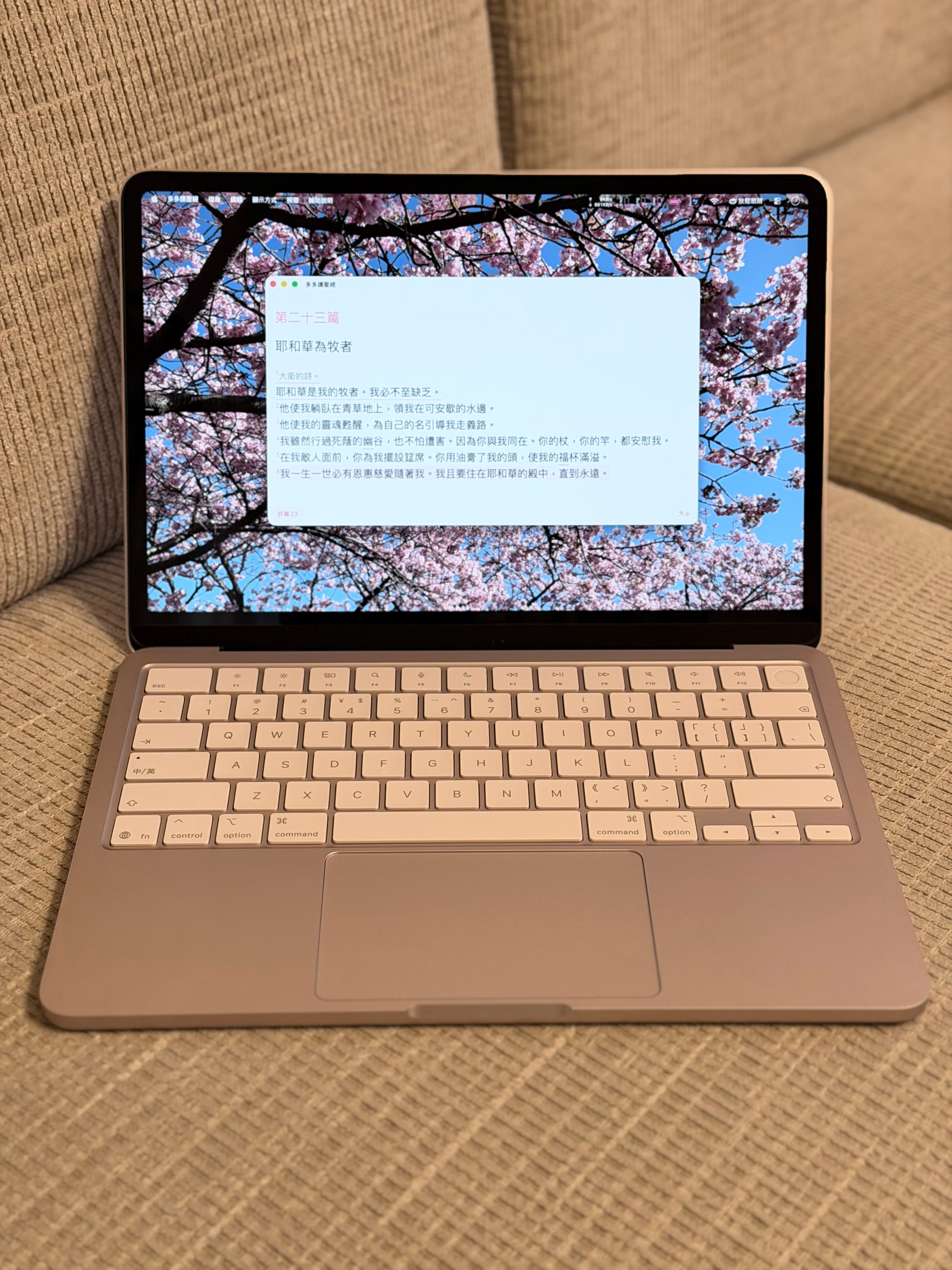 粉紅色的 MacBook Neo、櫻花，與 app 配色