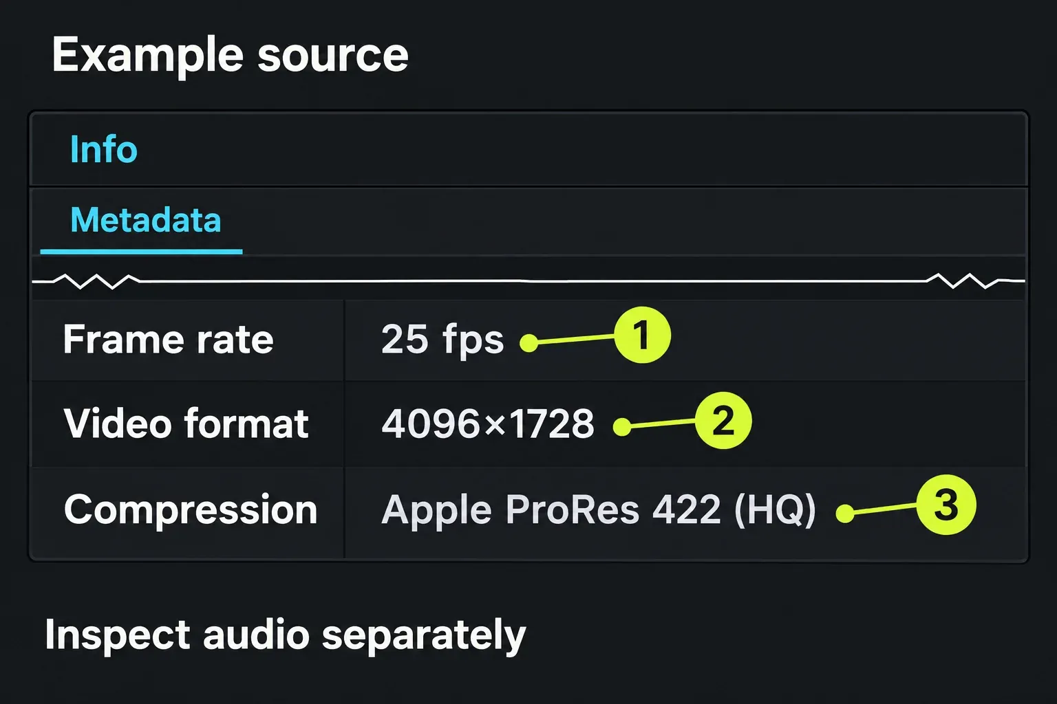 Source Metadata shows frame rate, video format and compression as separate properties