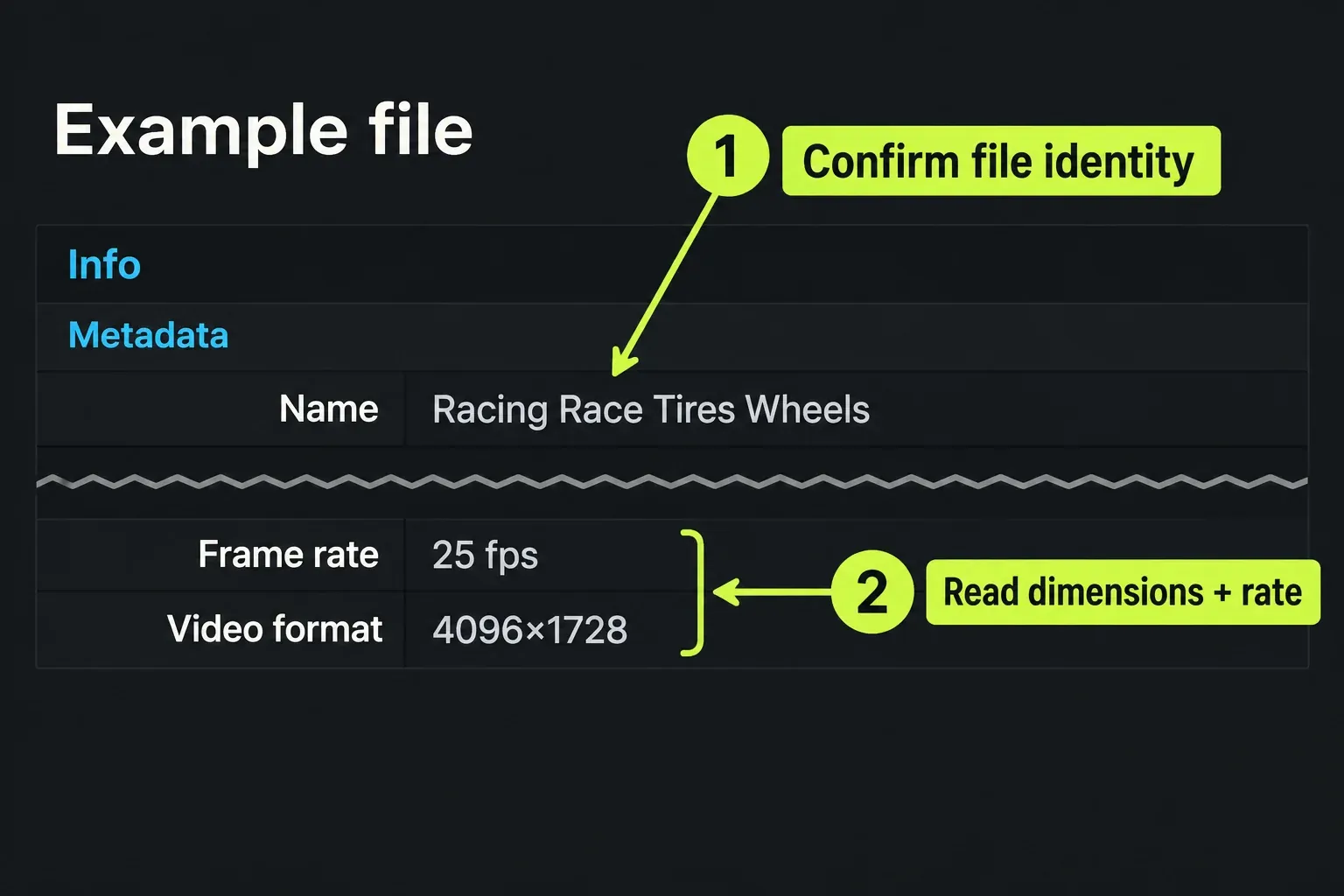 Name, Video format and Frame rate rows identify the Source item and its native properties
