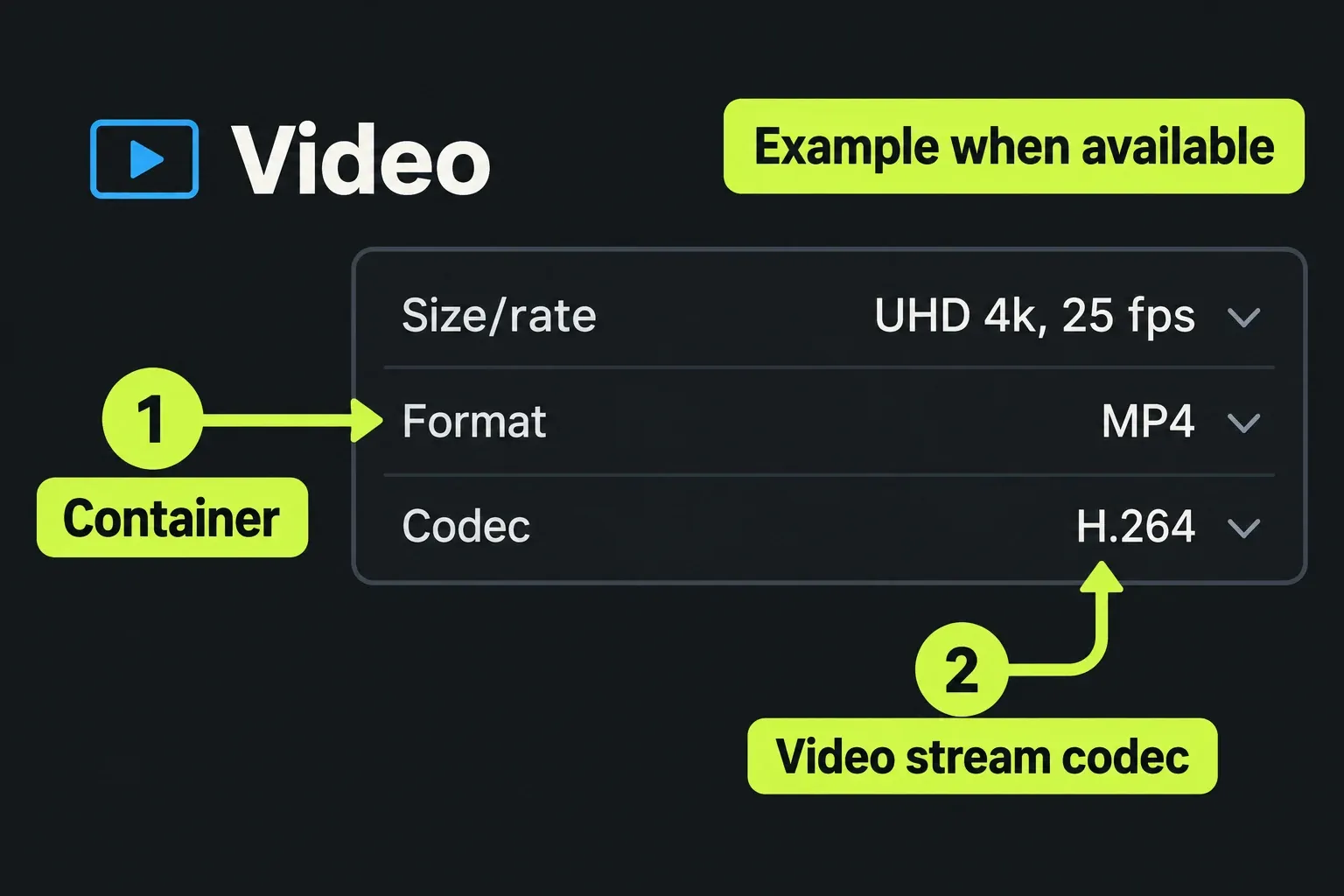 The Export panel separates MP4 Format from H.264 video Codec.