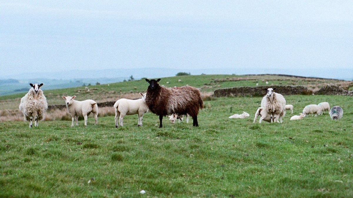 Researchers have a plan to give the GPT-3 AI some "common sense"