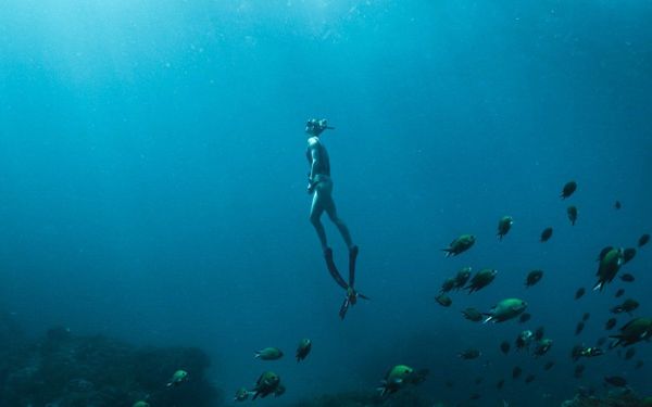Study shows free divers can drop heart rates as low as 11 beats per minute