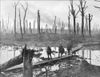 The Bloody River