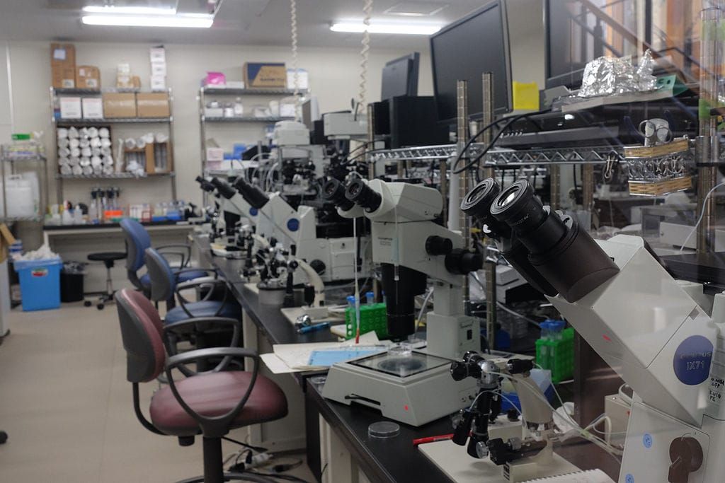 Misinformation Against Trans Healthcare