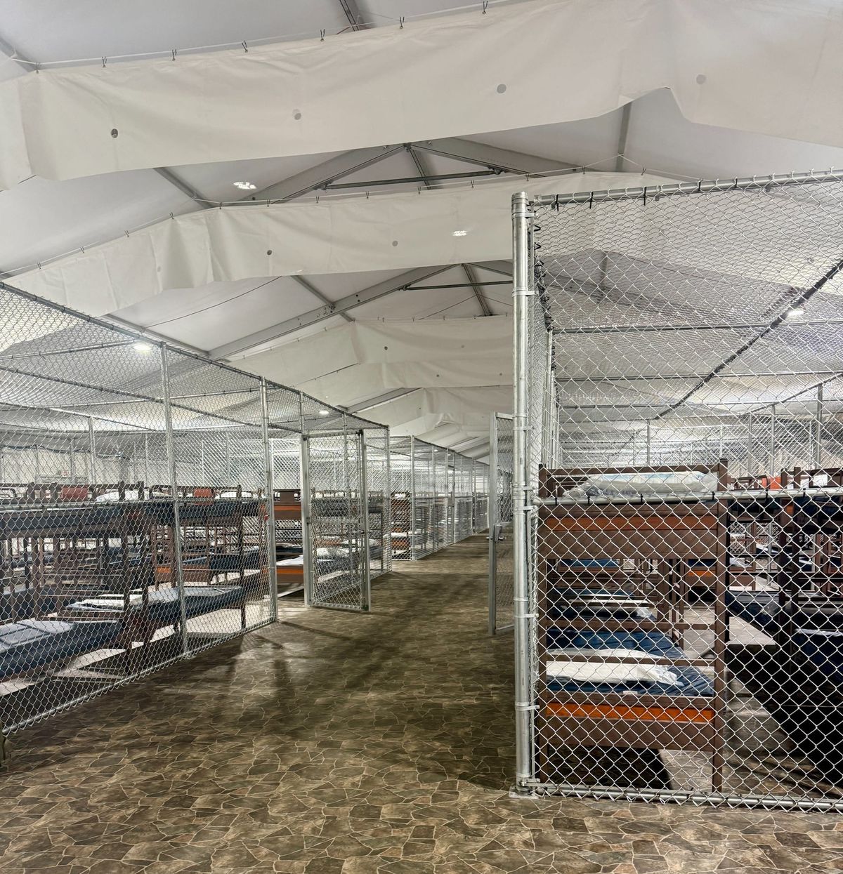 Mass Deportation Is Happening