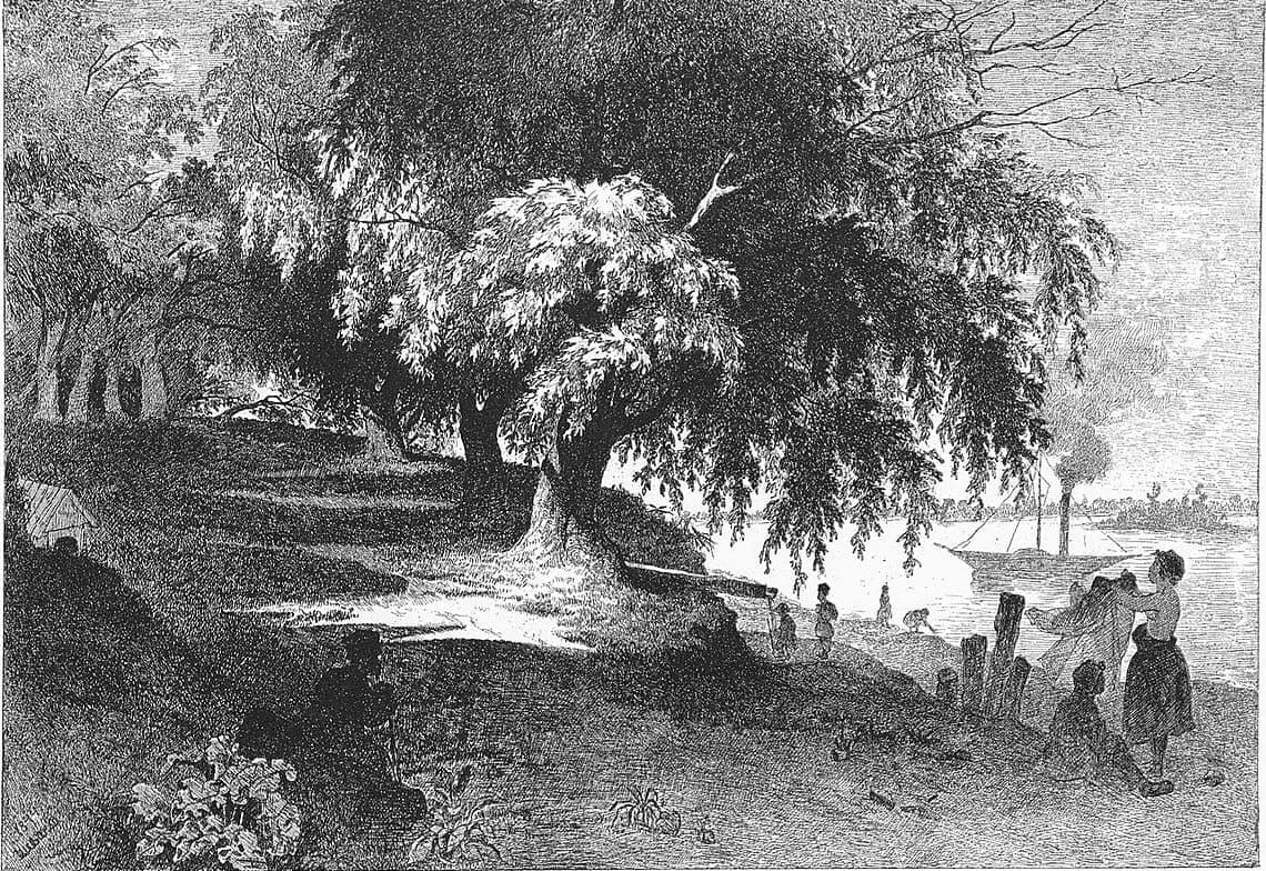 Drawing on Ukrainian Republican Roots