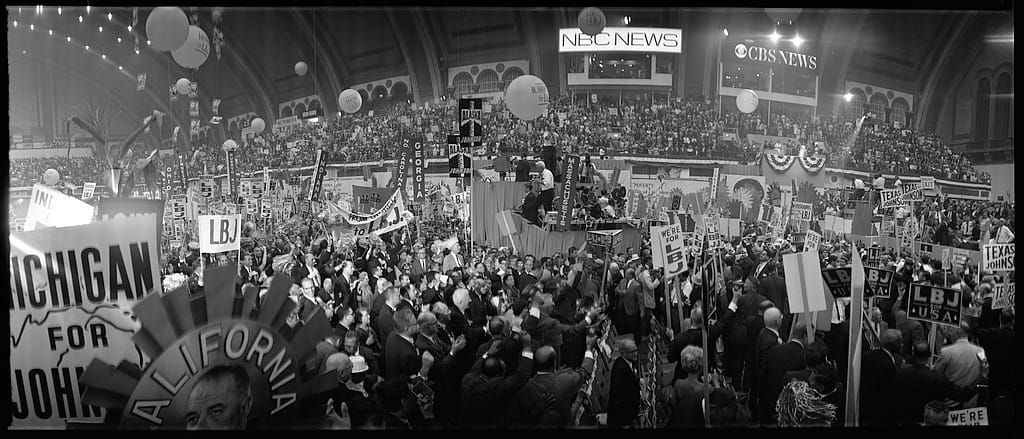 Vote Blue No Matter Who: Party Politics as Political Agency