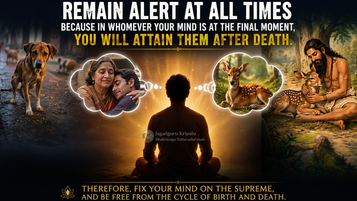 What Will You Remember?