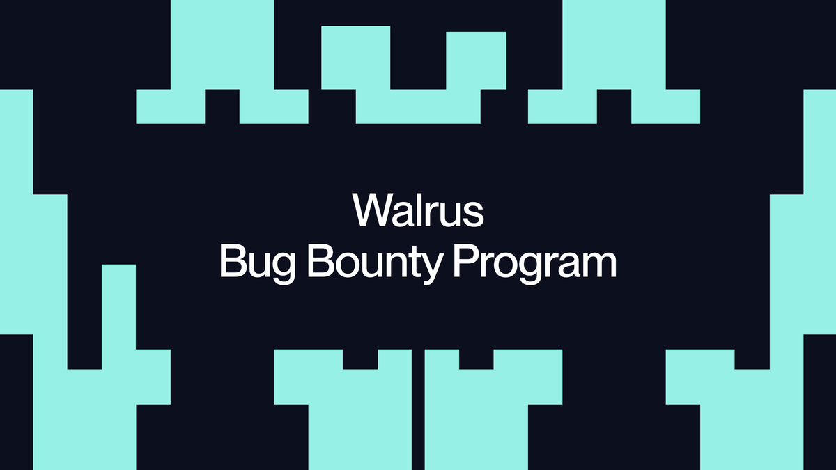 Walrus Bug Bounty Program