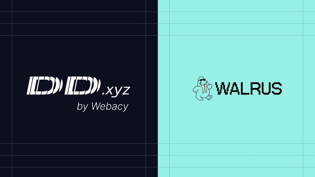 DD.xyz by Webacy and Walrus logos