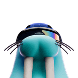 Walrus Foundation