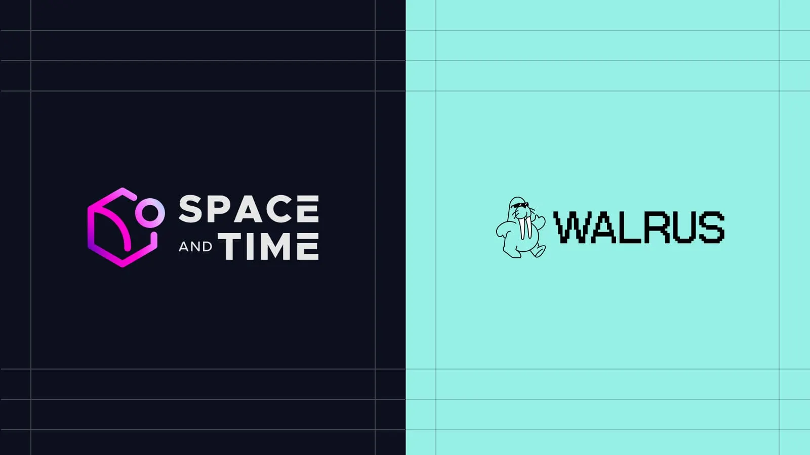 Space and Time, and Walrus logos
