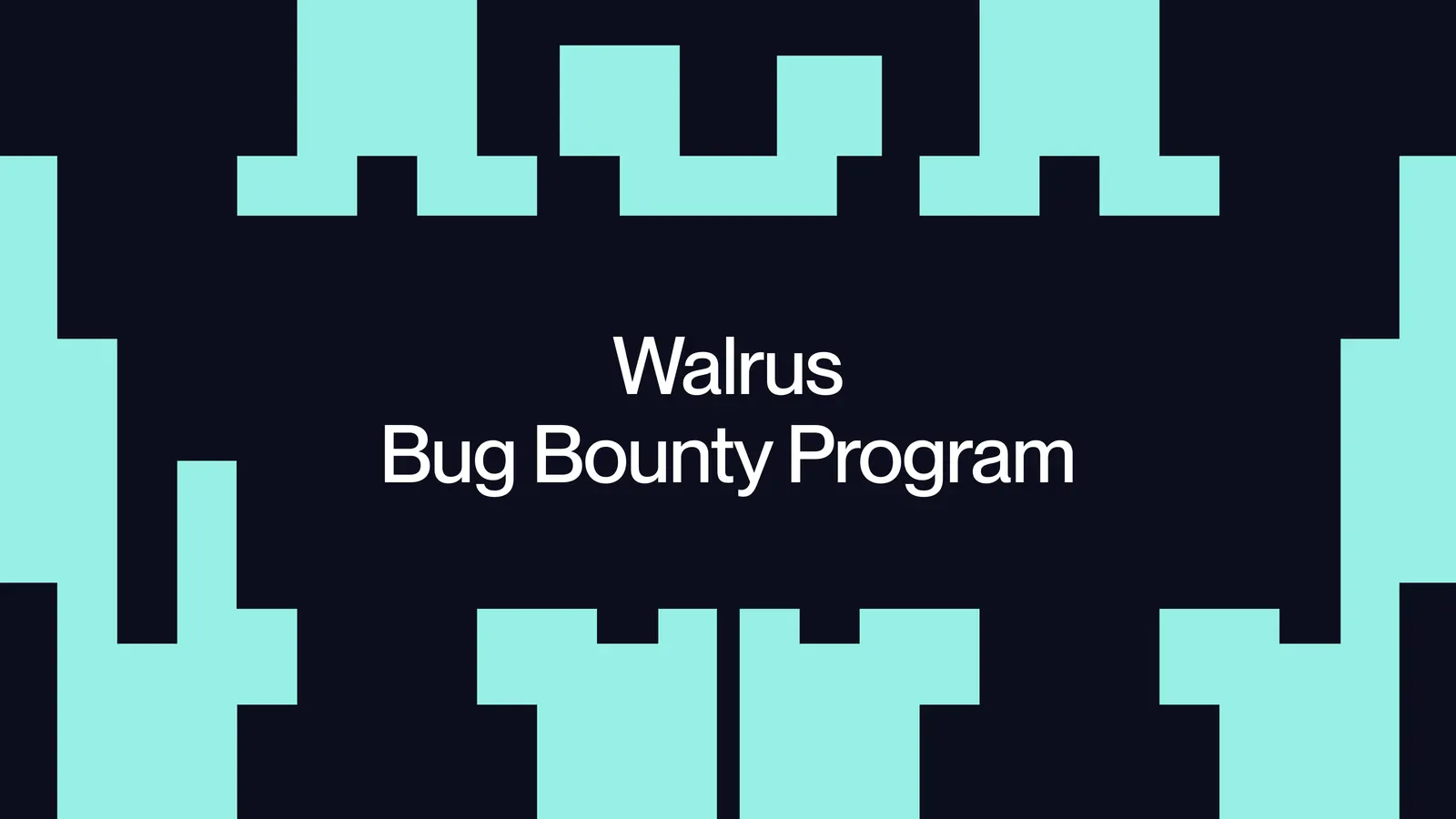 Walrus Bug Bounty Program
