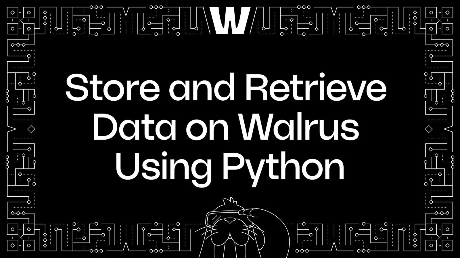Store and Retrieve Data on Walrus Using Python