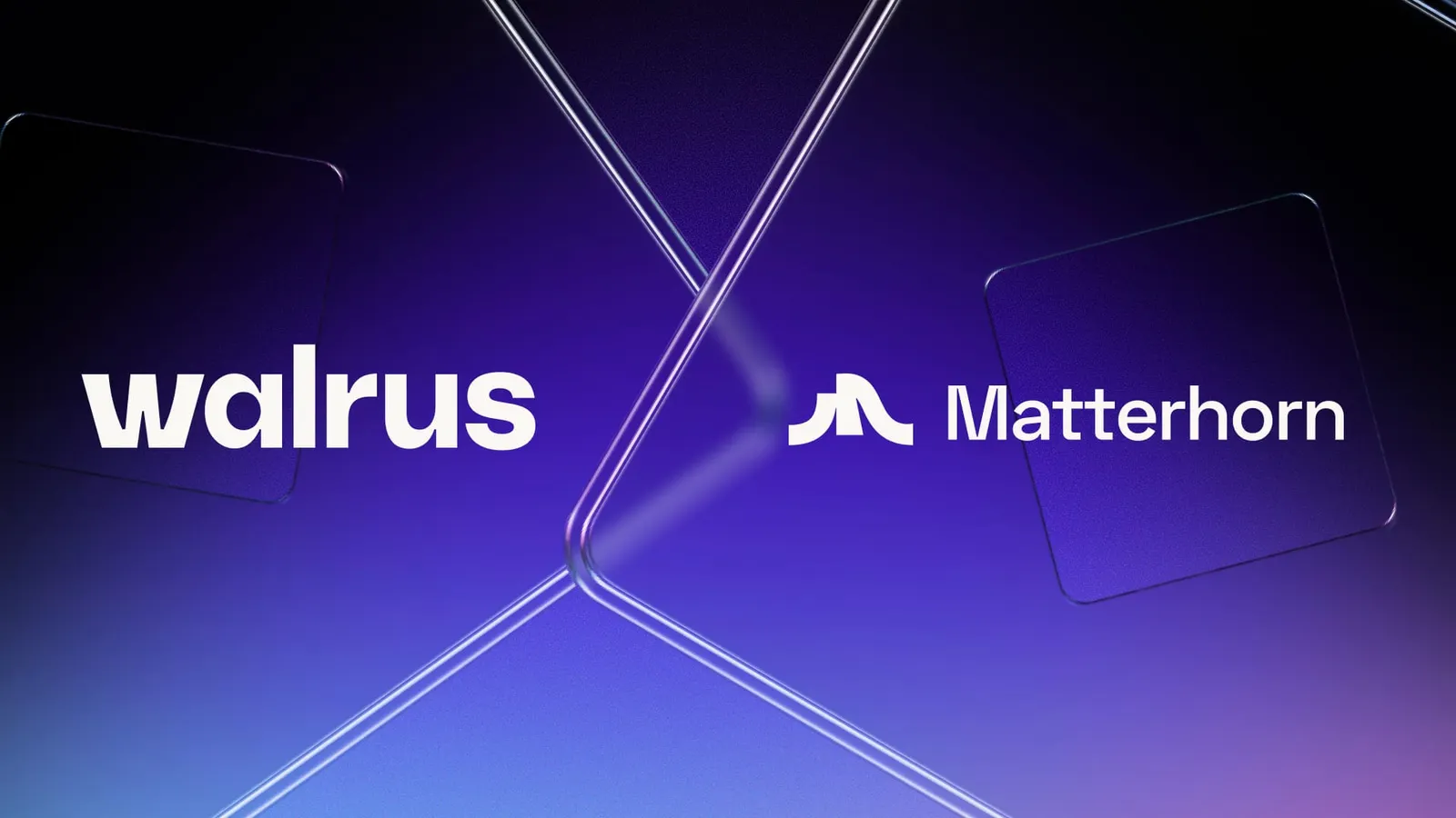 Matterhorn and Walrus Bring Persistent Memory to AI-Assisted Blockchain Workflows