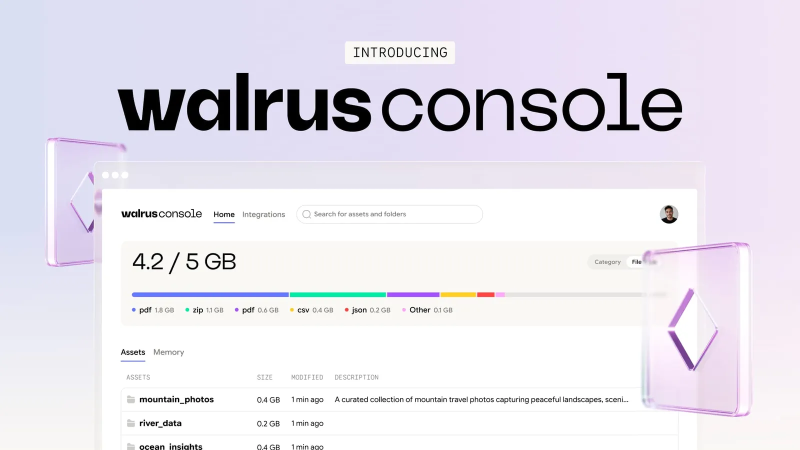 Introducing Walrus Console