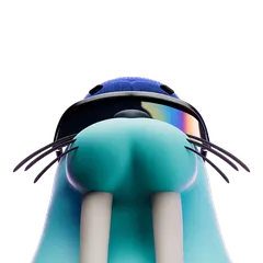 Walrus Foundation