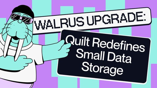 Walrus Upgrade: Quilt Redefines Small Data Storage