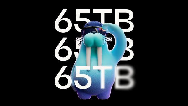 65 Terabytes of Institutional-Grade Blockchain Data Comes to Walrus Through New Allium Partnership