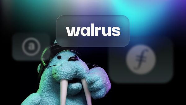 Availability, Access, Programmability: Choosing the Right Decentralized Storage