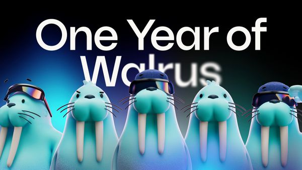 Walrus is one. The agentic web is what’s next.