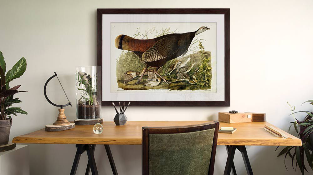 Vintage bird framed print in a classic and stylish home office