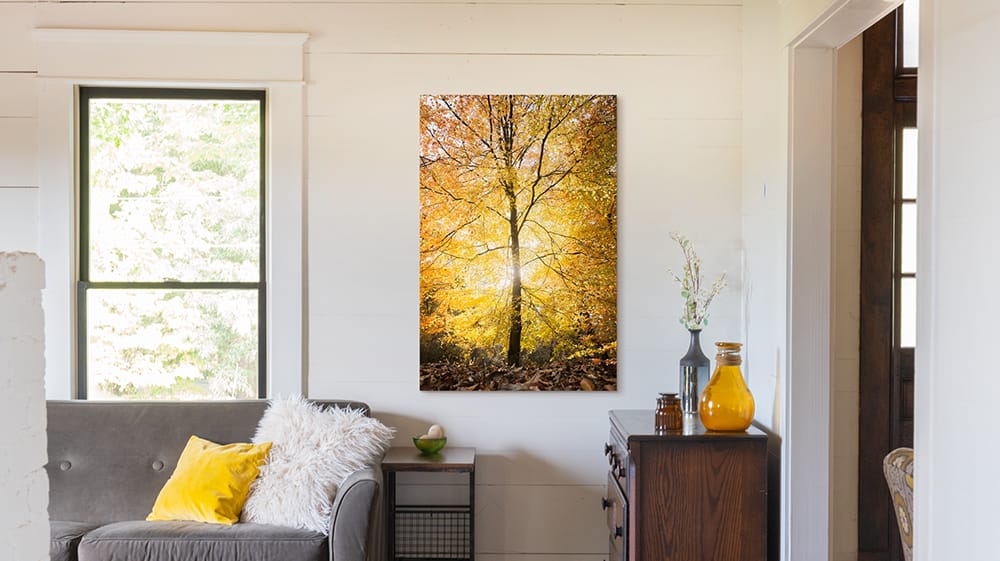 Yellow nature wall art featuring sunlight through autumn trees, showcasing the warmth and softness of butter yellow tones in home decor