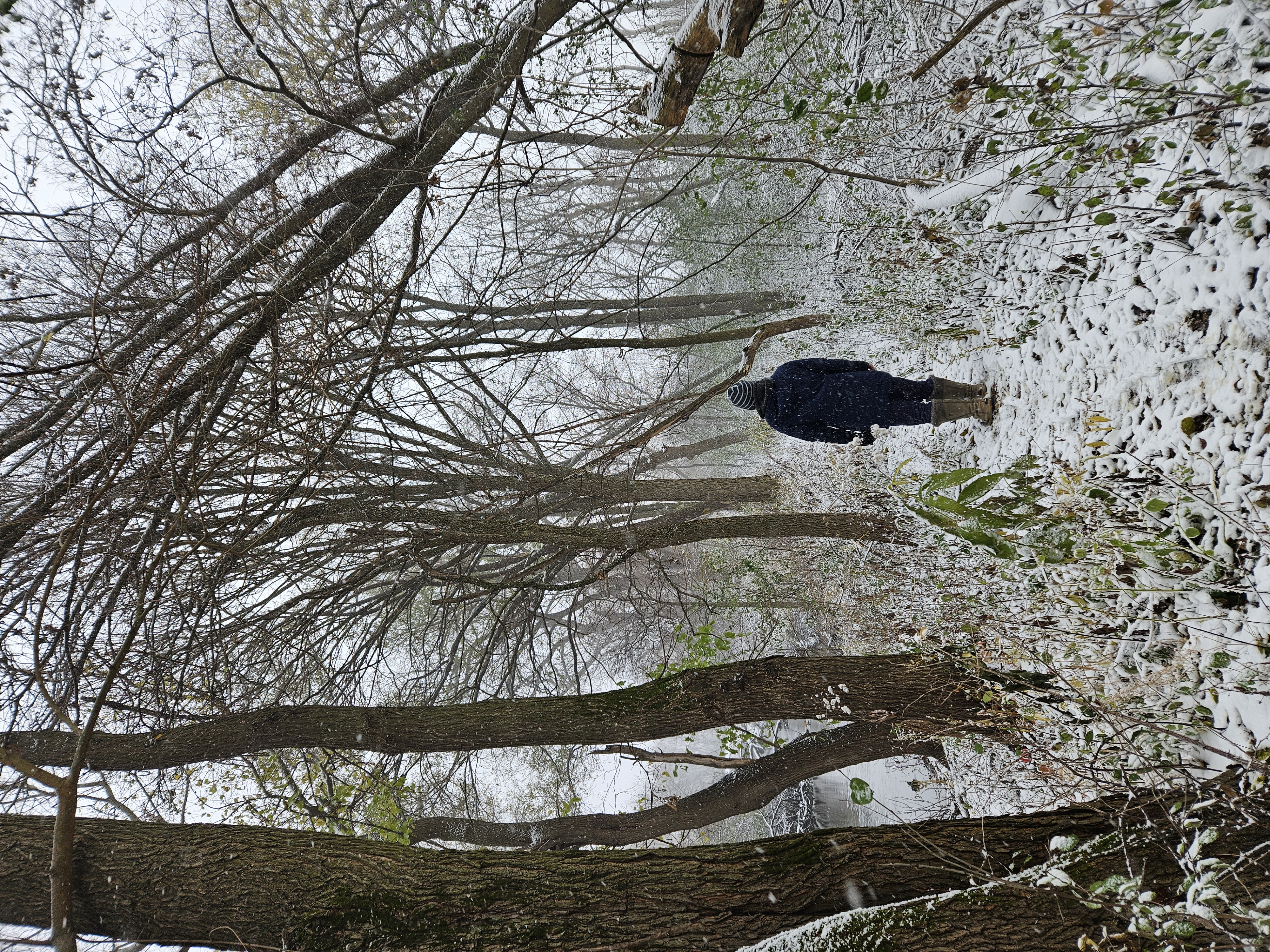 A snowy woods borders a snow-covered trail, where a person walks with their back to the camera. They are dressed in a blue winter jacket, hat, boots, etc. The dark waters of a narrow creek run along the left side of the trail. Snow is visible falling in in the air all around.