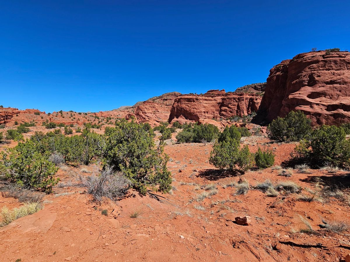 A rocky red landscape is dotted with low, bushy green trees and a bright blue sky overhead.