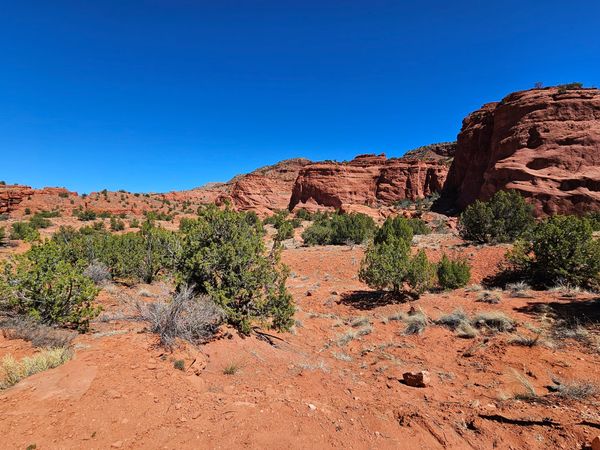 A rocky red landscape is dotted with low, bushy green trees and a bright blue sky overhead.