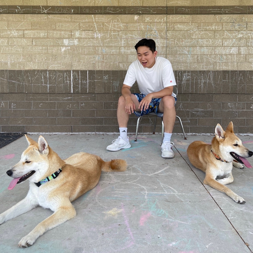 지용
