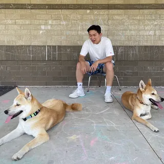 지용