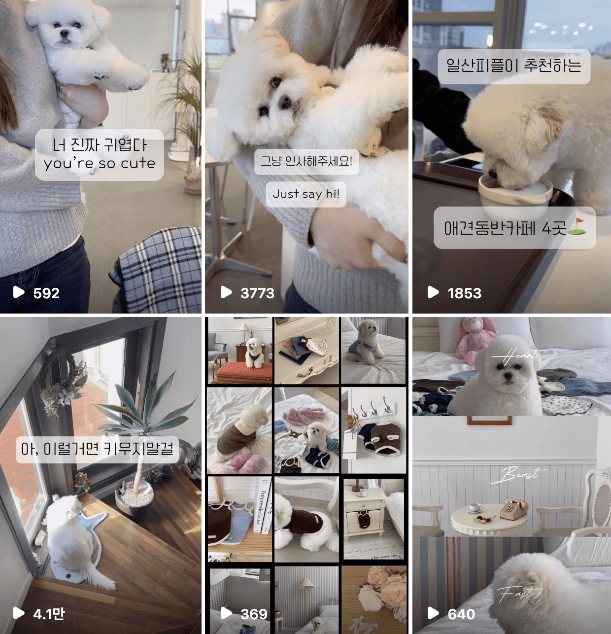 계정 운영 초반 허니하니님의 콘텐츠